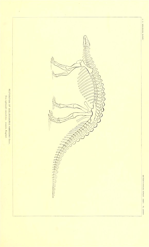 n448_w1150