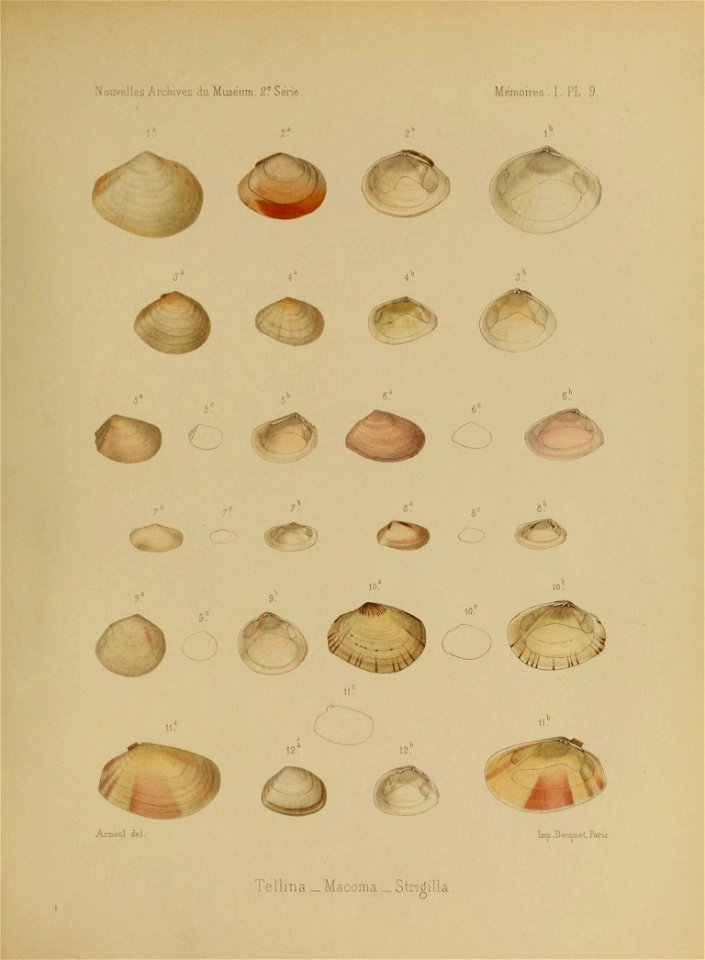 n394_w1150