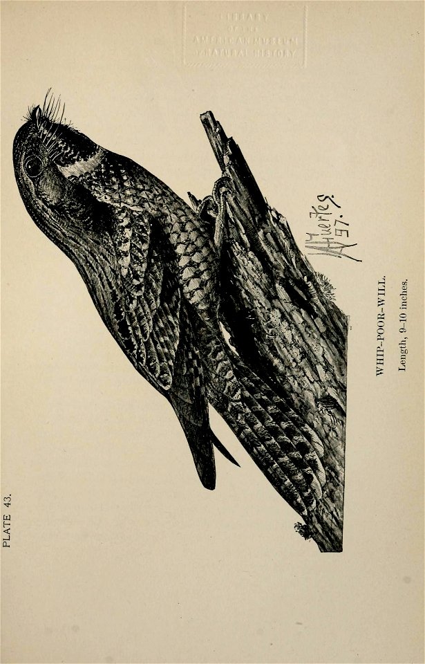 n296_w1150