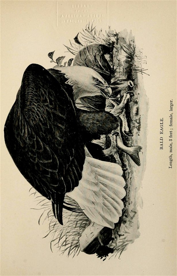 n358_w1150