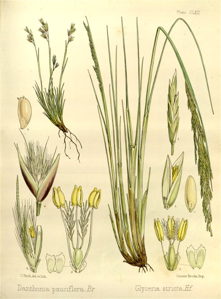 n507_w1150