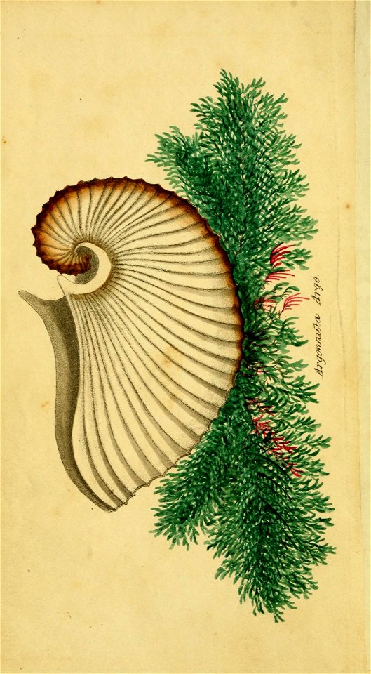 n5_w1150