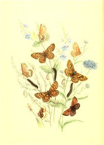 n69_w1150