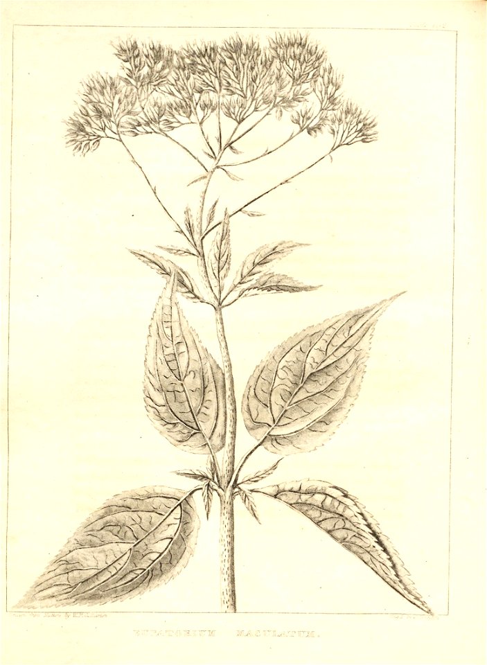 n122_w1150