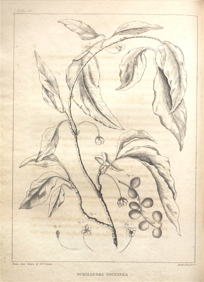 n81_w1150