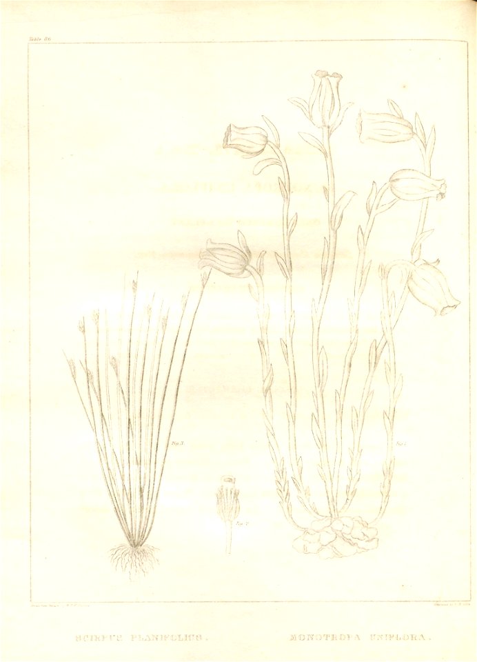 n63_w1150