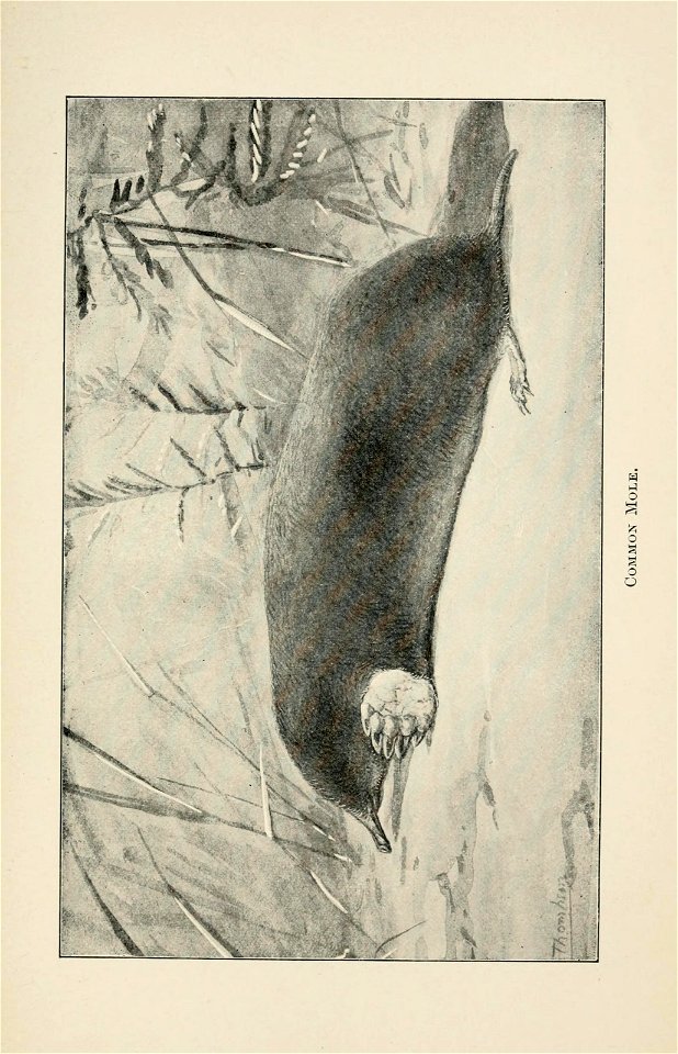 n468_w1150