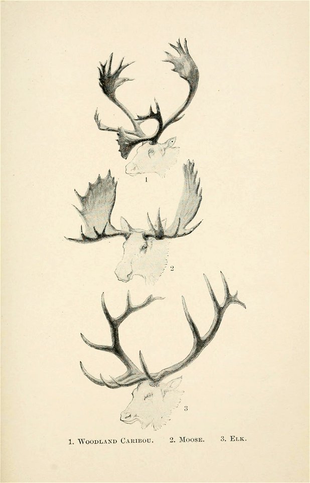 n368_w1150