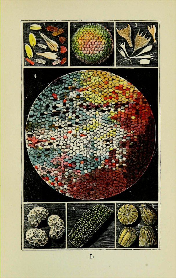 n206_w1150