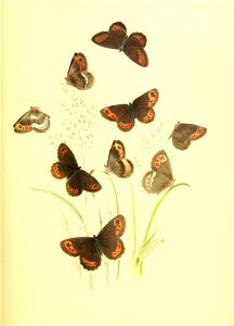 n174_w1150