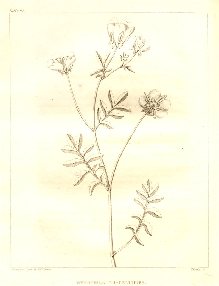 n106_w1150