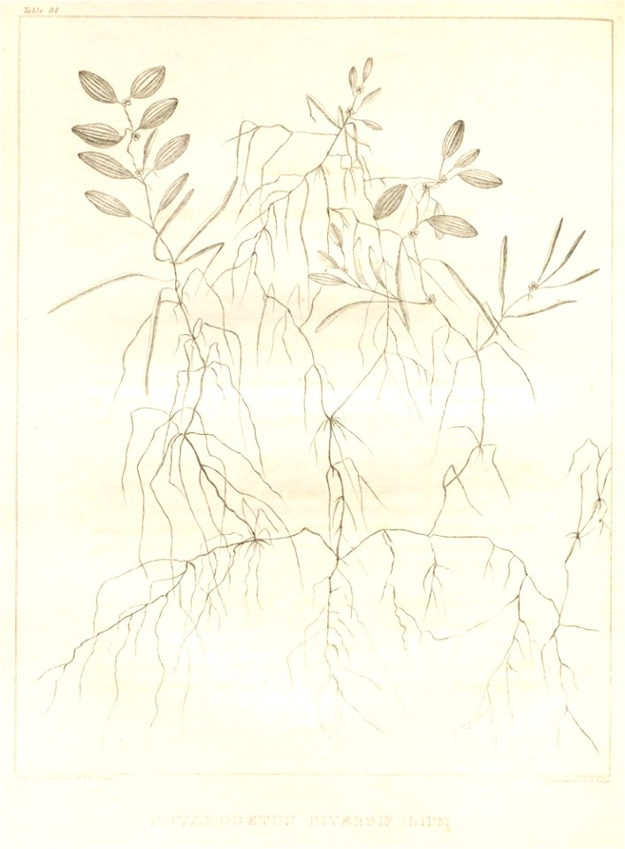 n57_w1150