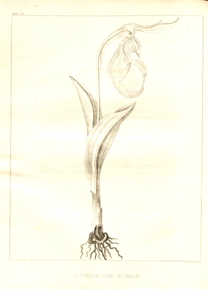 n54_w1150
