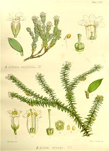 n571_w1150