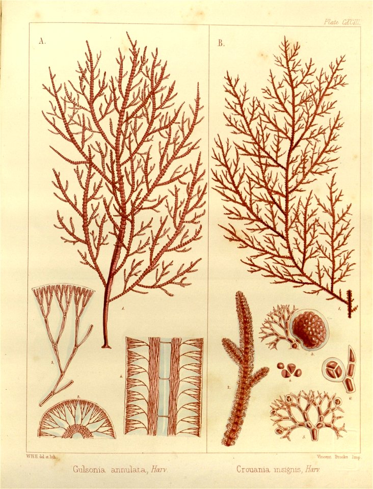 n538_w1150