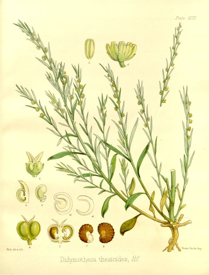 n583_w1150