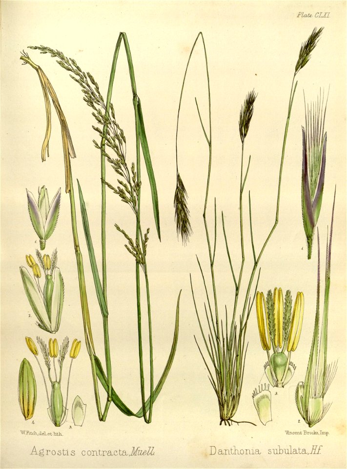 n506_w1150
