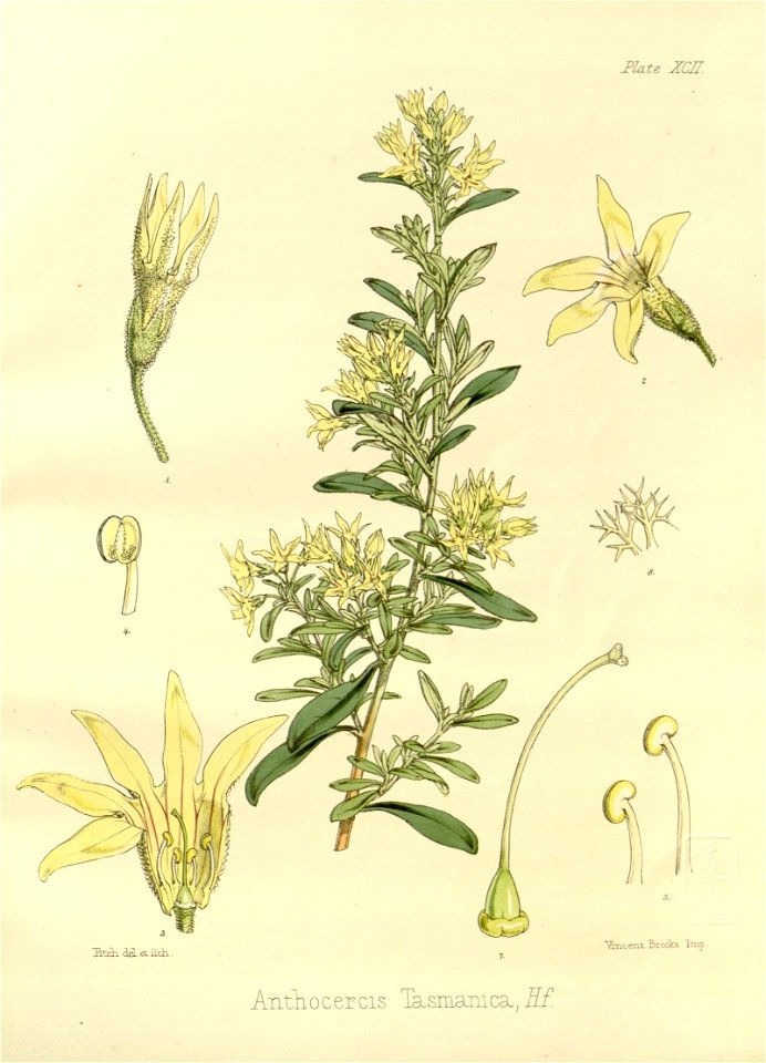 n582_w1150