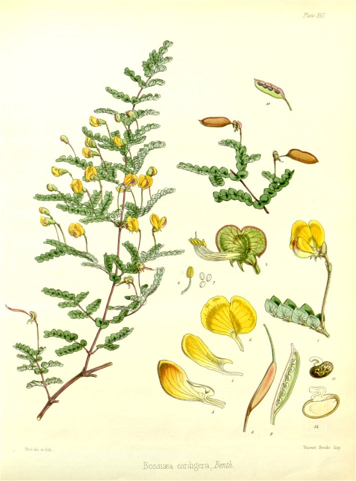 n507_w1150