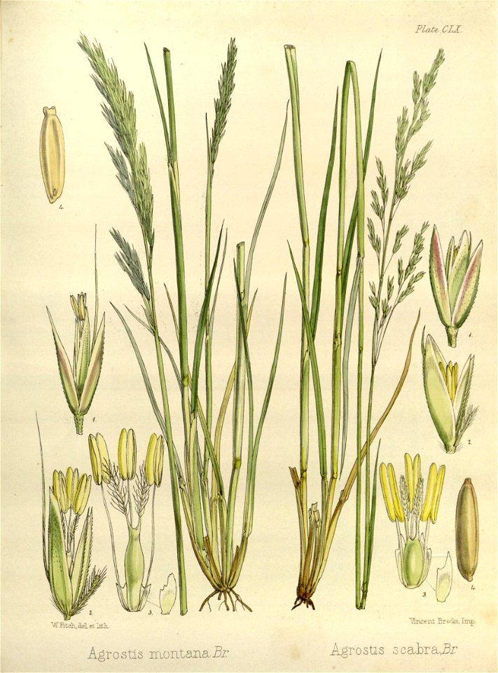 n505_w1150