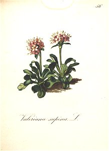 n128_w1150