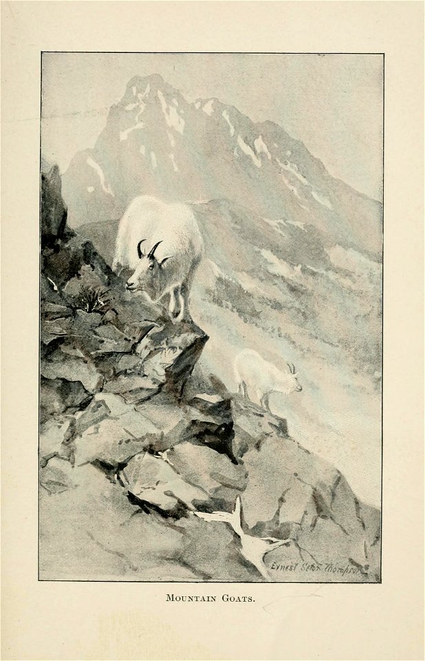 n302_w1150