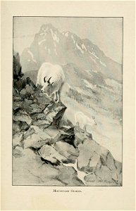 n302_w1150