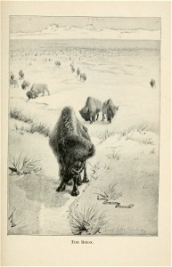n148_w1150