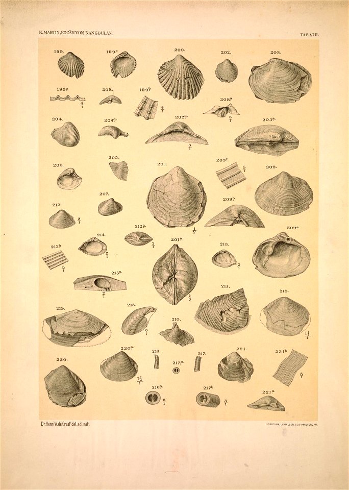 n159_w1150
