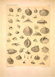 n159_w1150