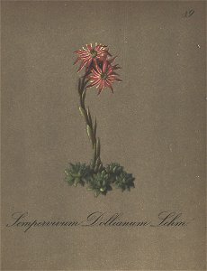 n163_w1150