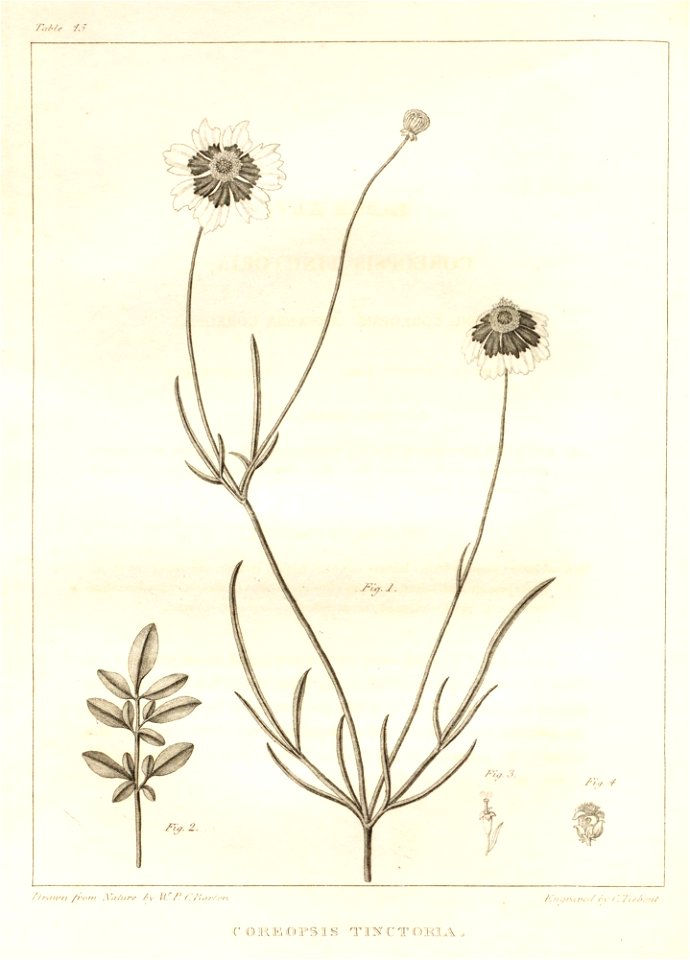 n45_w1150