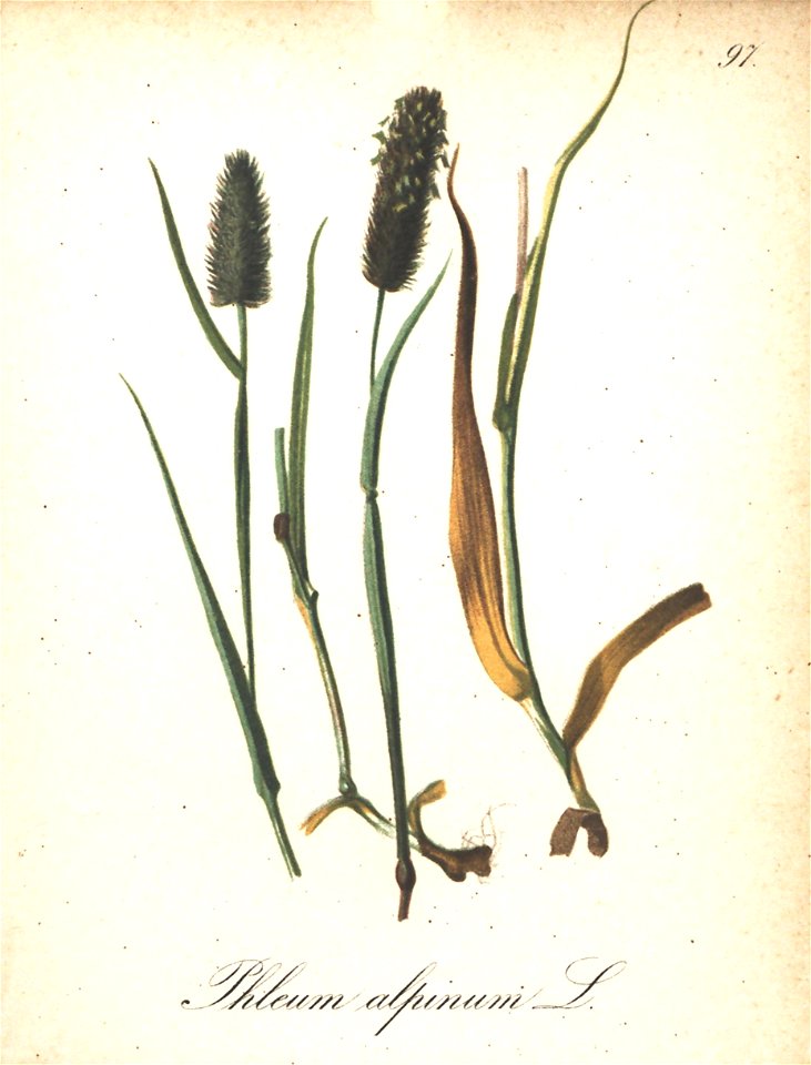n169_w1150