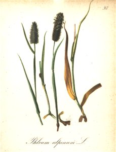 n169_w1150