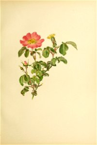 n164_w1150