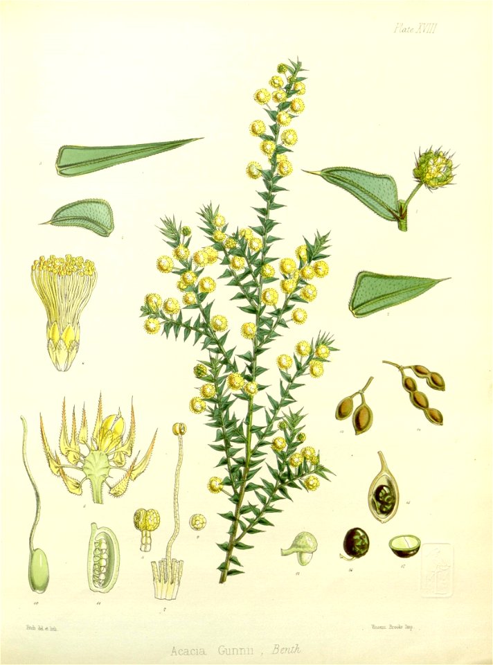 n509_w1150