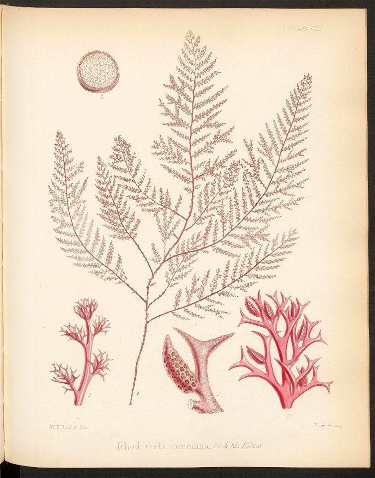 n468_w1150