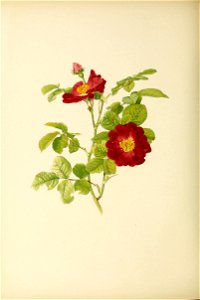 n231_w1150