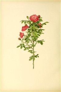 n221_w1150