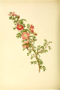 n123_w1150
