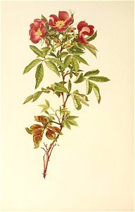 n405_w1150