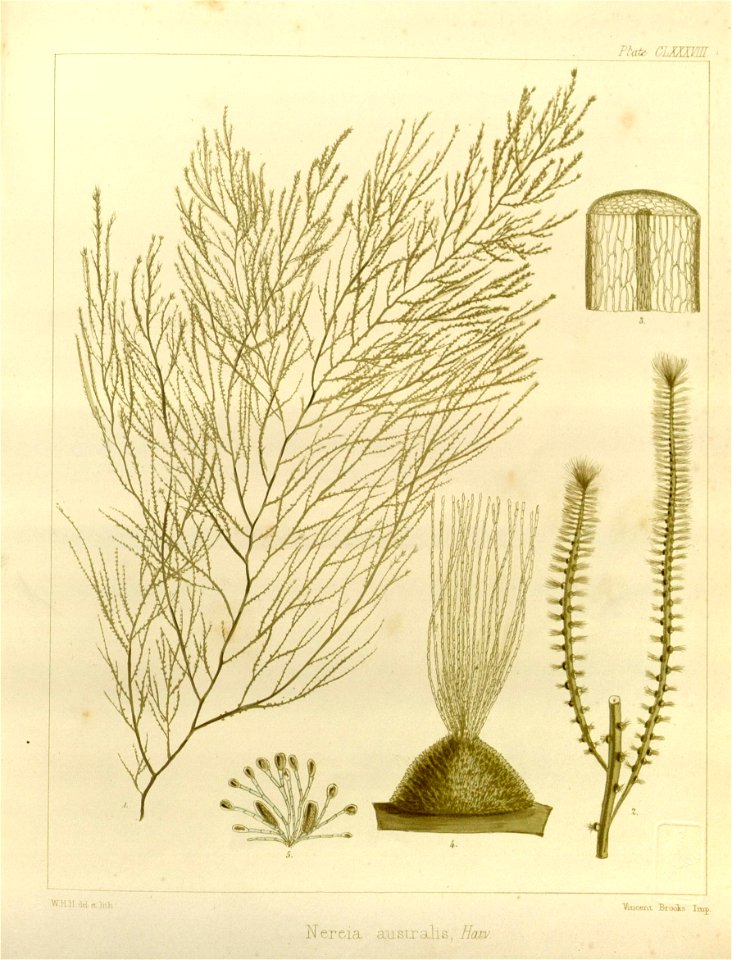 n533_w1150