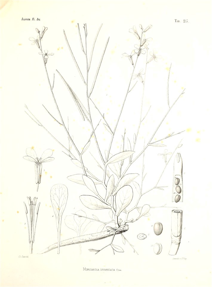 n82_w1150