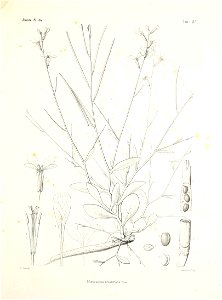 n82_w1150