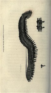 n215_w1150