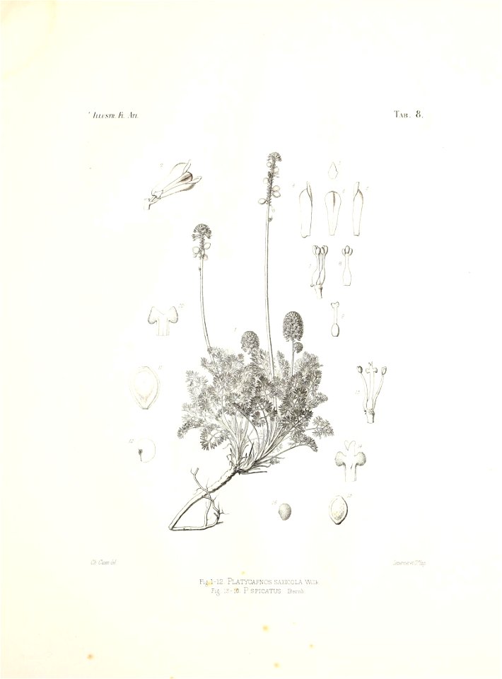 n48_w1150