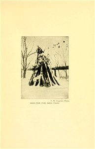 n362_w1150