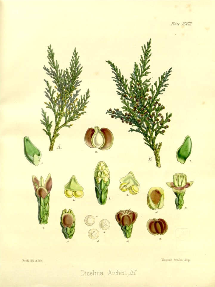 n588_w1150