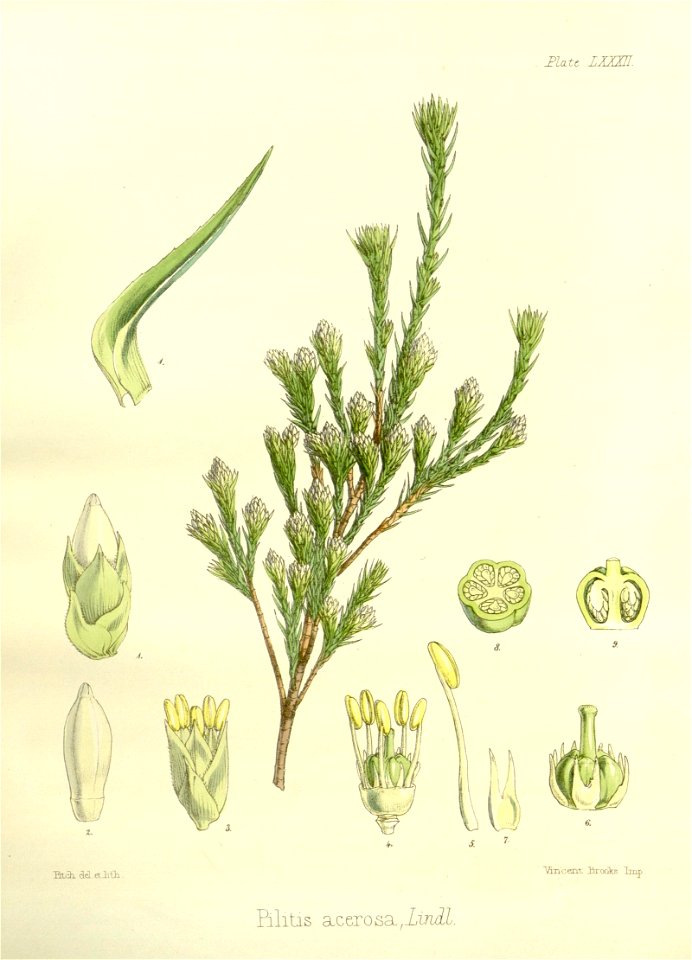 n573_w1150