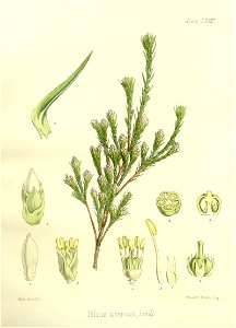 n573_w1150